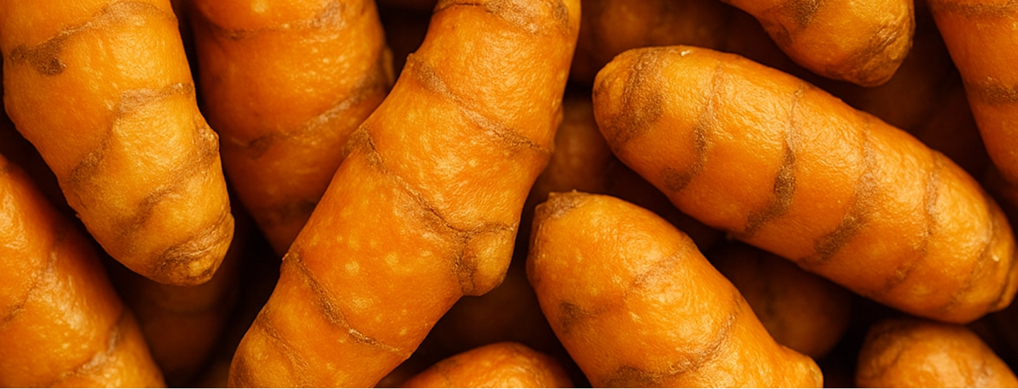 Turmeric Extract