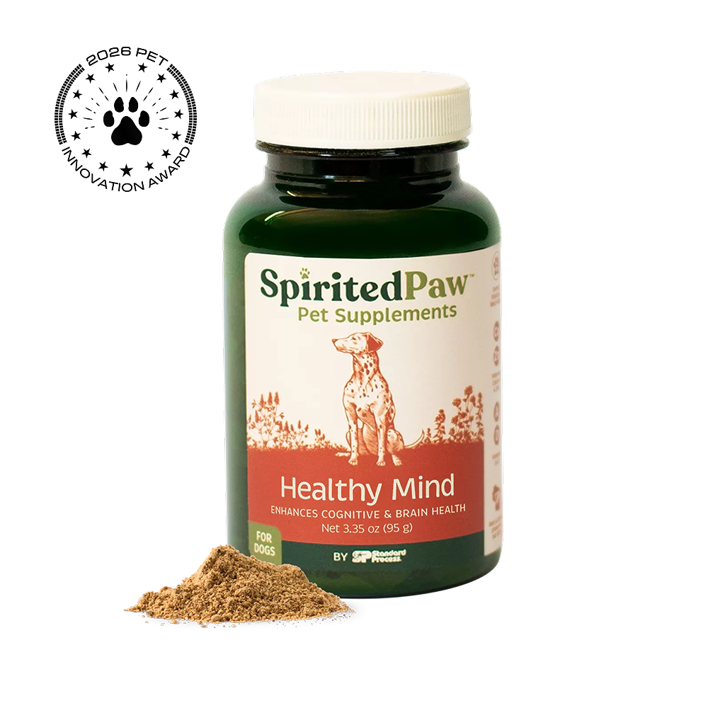 A bottle of Spirited Paw Pet Supplements Healthy Mind supplement with a white cap and a small pile of brown powder in front, on a white background with a 2026 Pet Innovation Award badge in the top left.