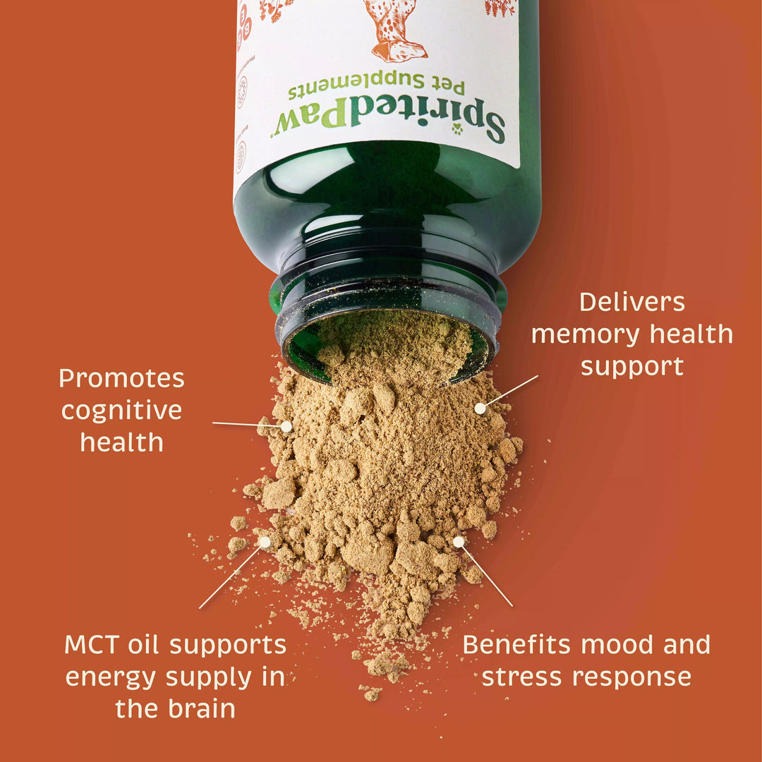 Bottle of Spirited Paw healthy mind pet supplement with powder spilling out, labeled with health benefits on an orange background.