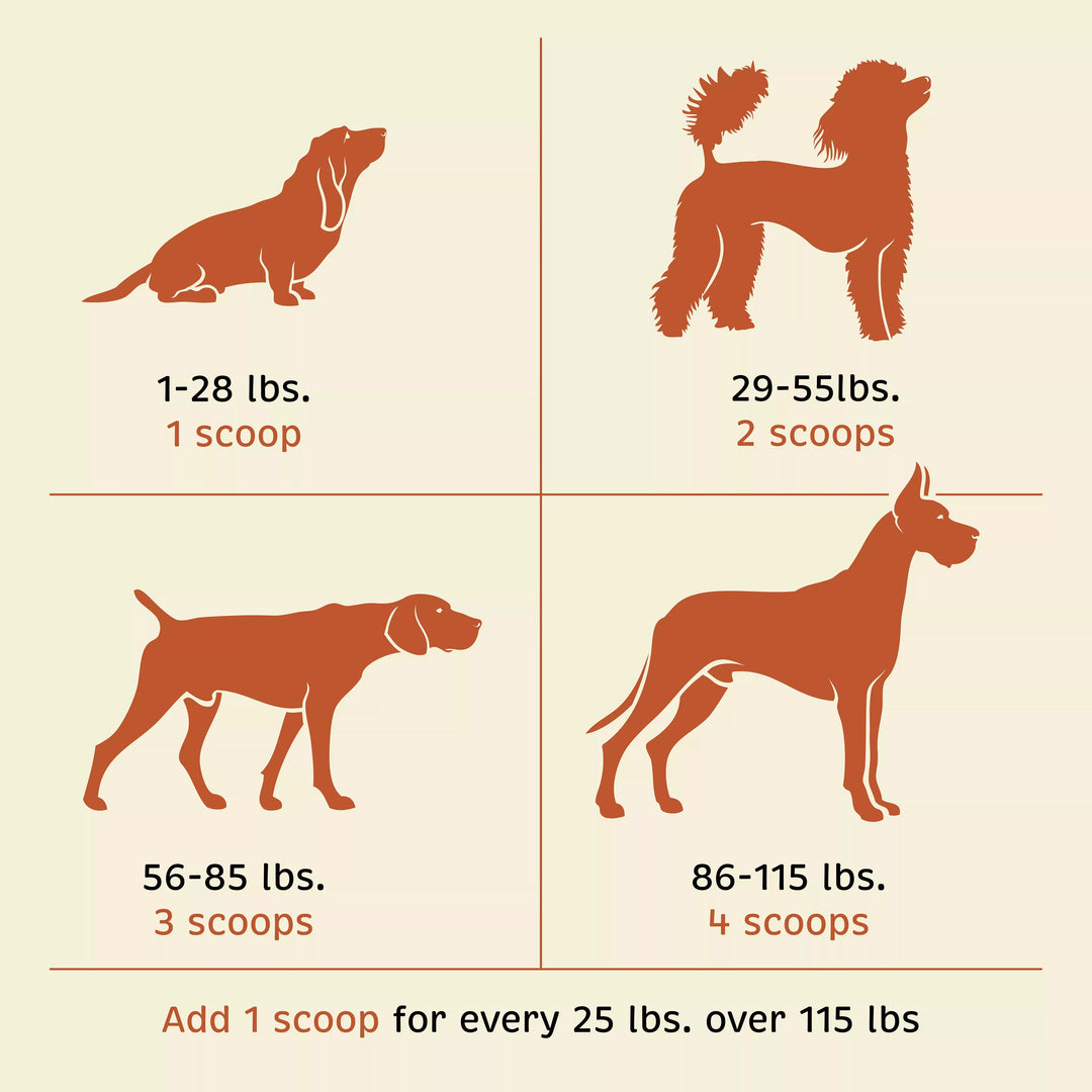 Dog weight chart with illustrations of dogs and corresponding scoop amounts on a beige background