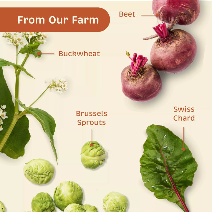 Illustration of vegetables labeled 'Buckwheat', 'Brussels Sprouts', 'Beet', and 'Swiss Chard' with a 'From Our Farm' banner.