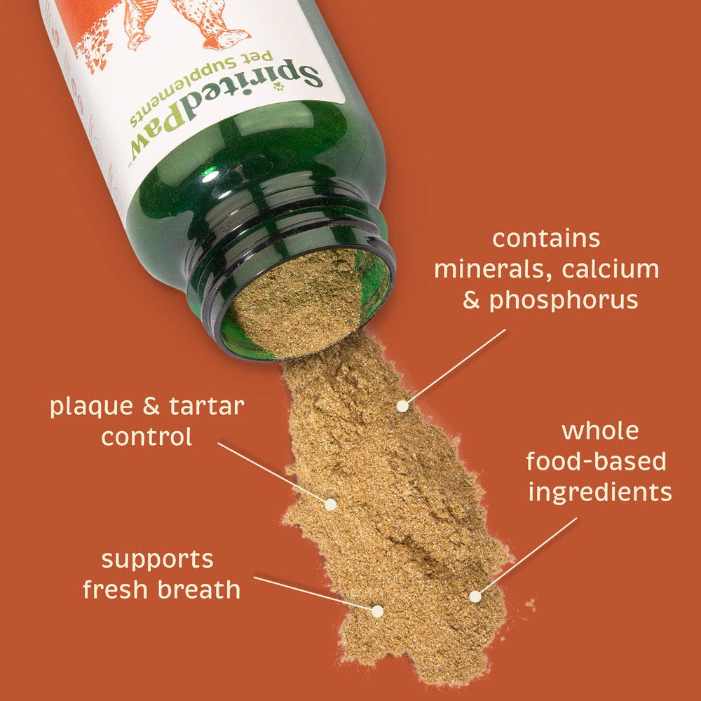 Spirited Paw Dental Powder Supplement bottle tipped over, showing finely ground powder with key ingredient callouts.