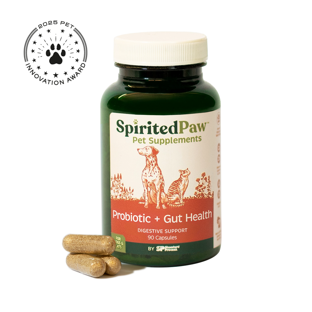 Probiotic + Gut Health