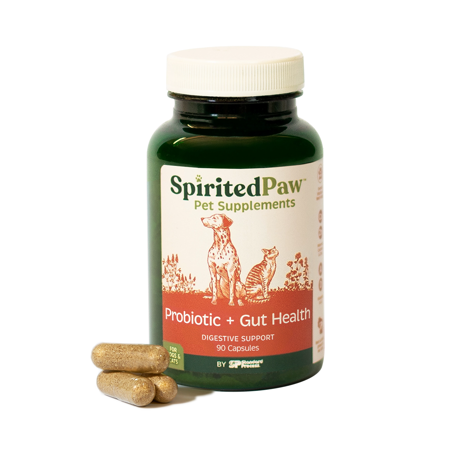 Spirited Paw Probiotic + Gut Health Supplement bottle with capsules placed beside it, supporting digestive and immune health