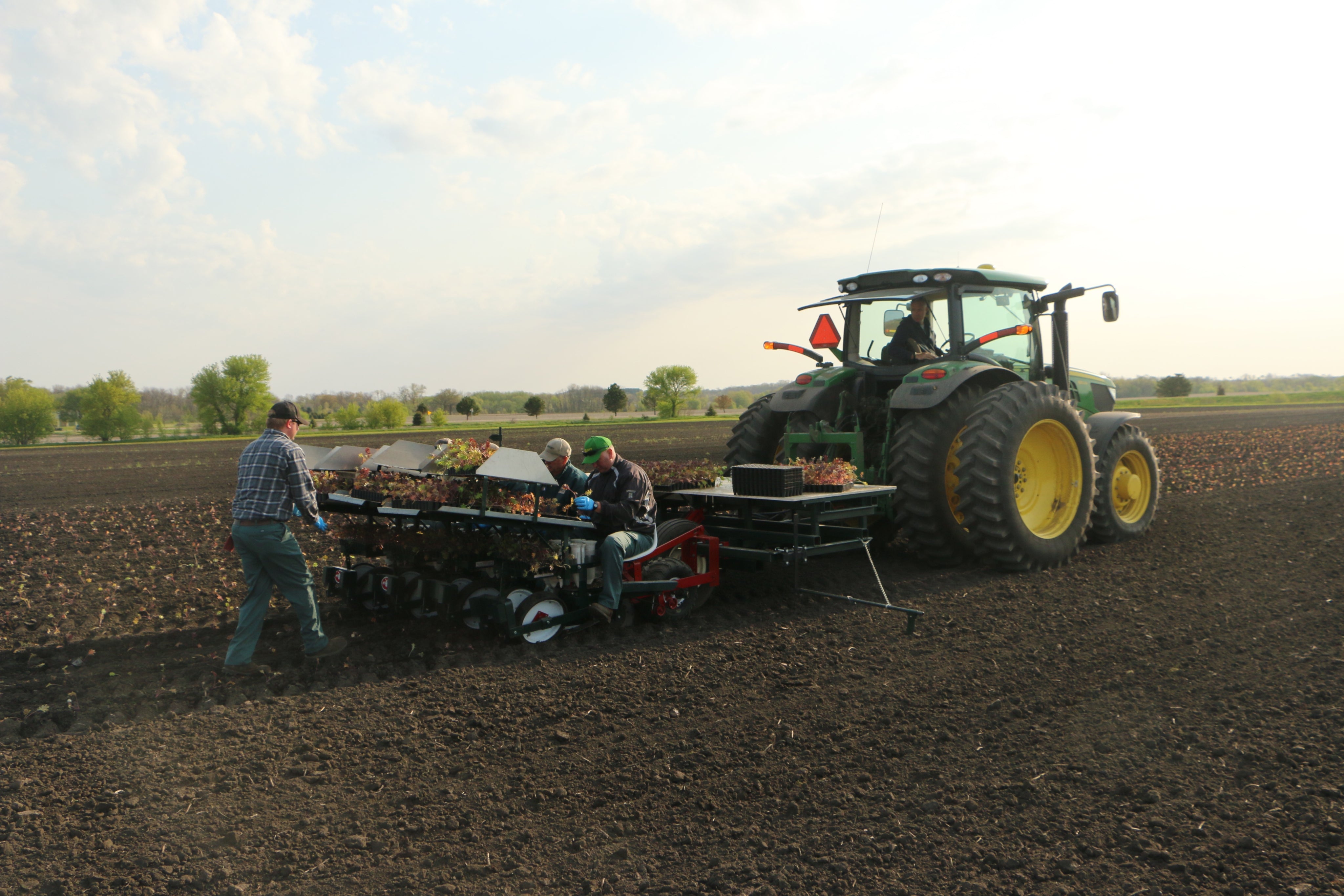 Seed Selection for Nutrient Density